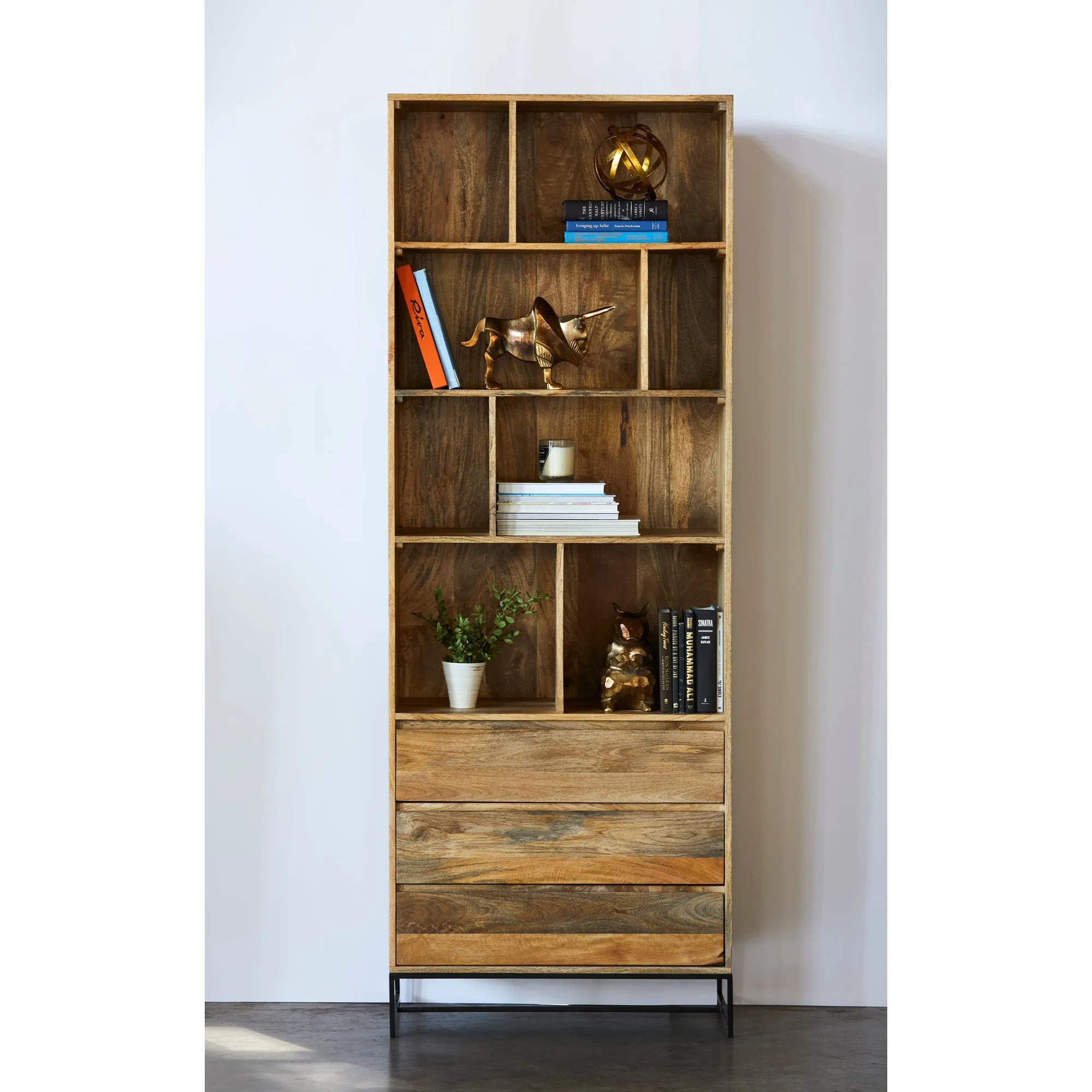 Colvin Storage Cabinet