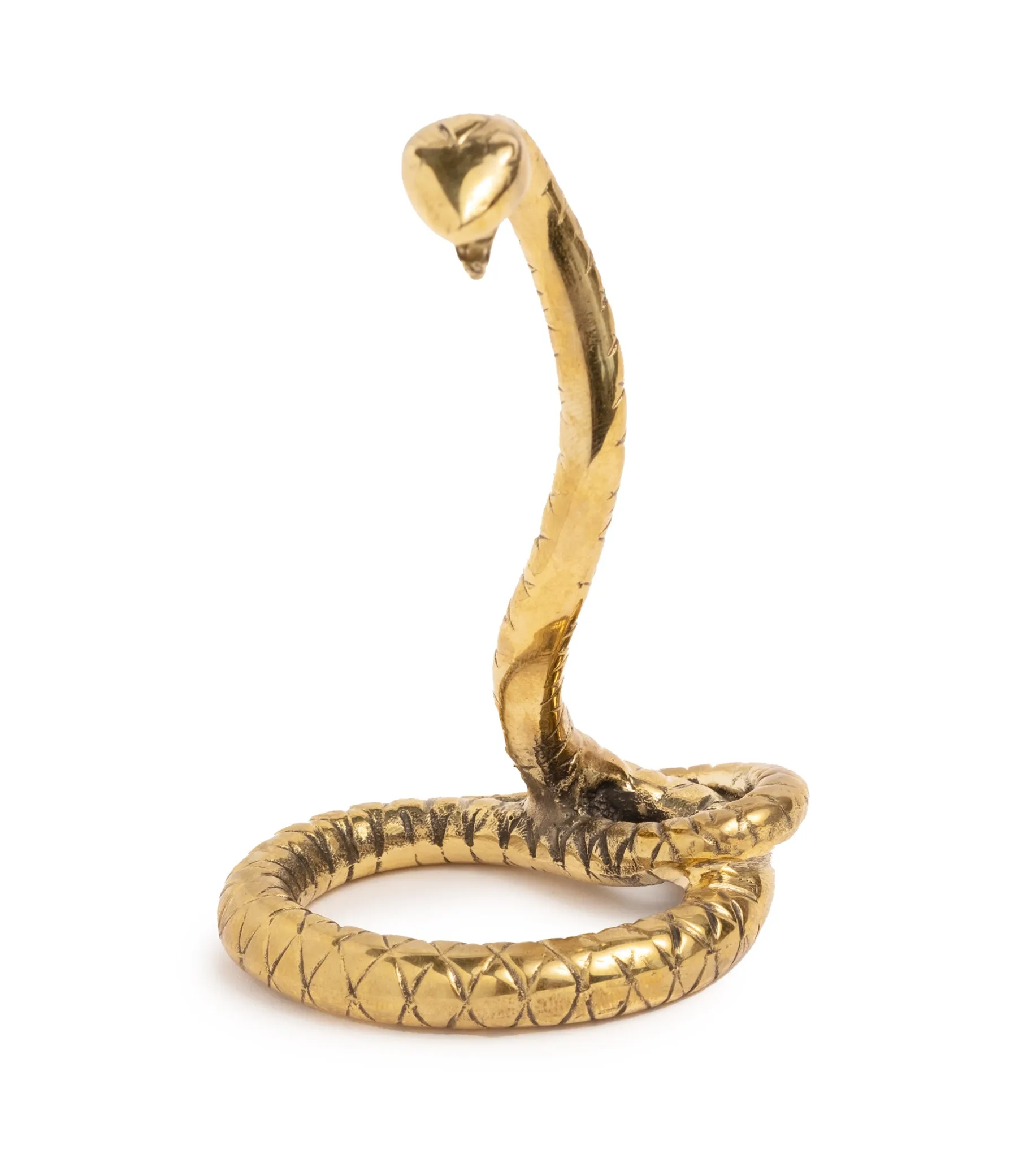 Snake - Wholeness: Medallion Holder