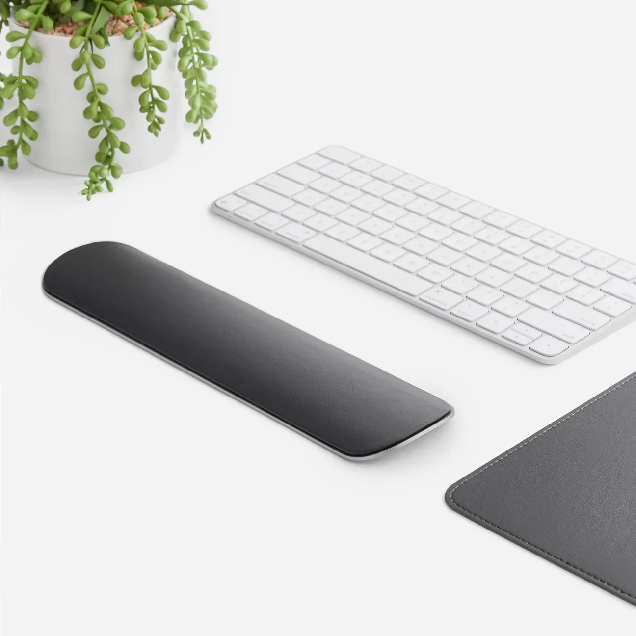 Workspace Essentials Bundle